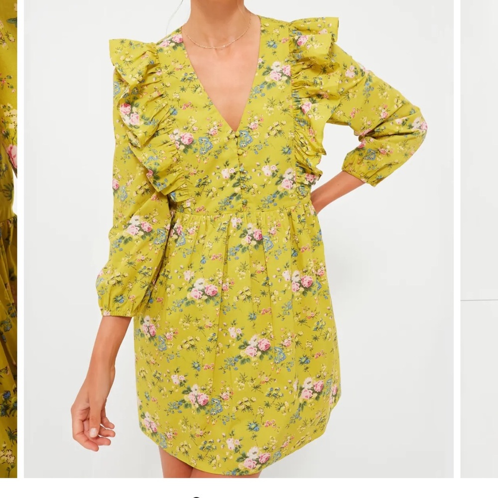 Hyacinth House (Tuckernuck) Reese Ruffle Mini Dress